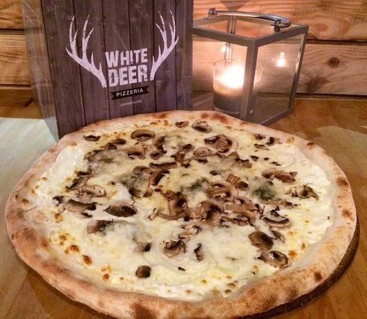 White Deer