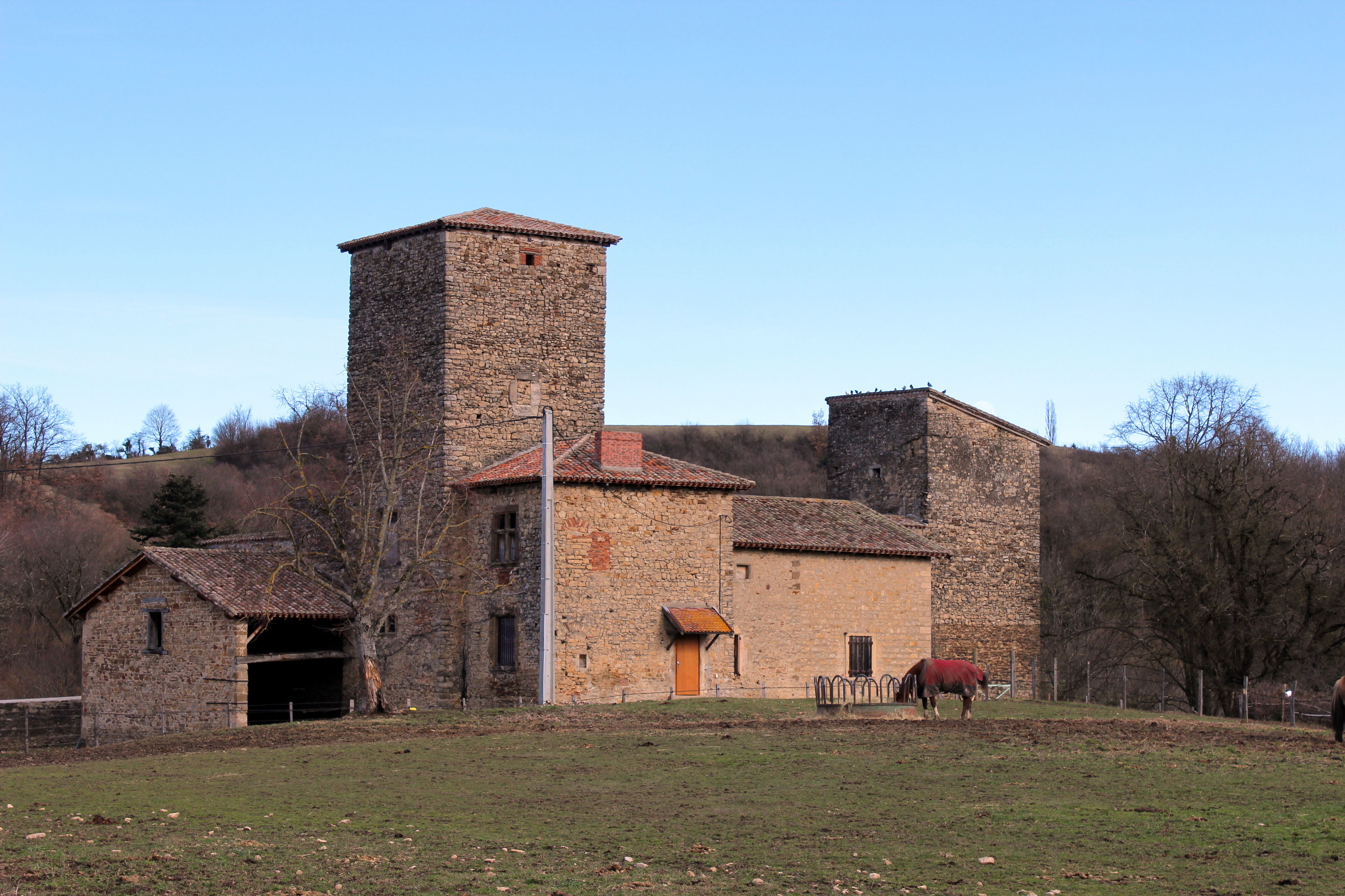 Maison forte des Allinges